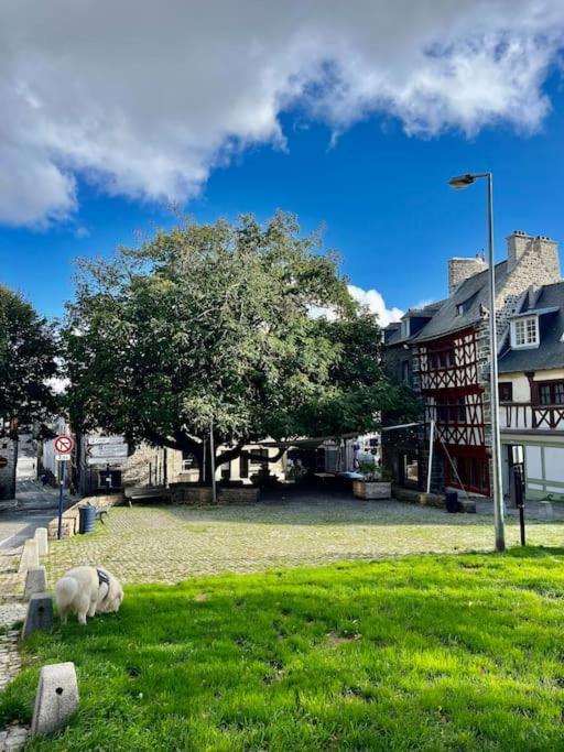 Le Cottage Breton, Hypercentre Historique Stb Saint-Brieuc Bagian luar foto